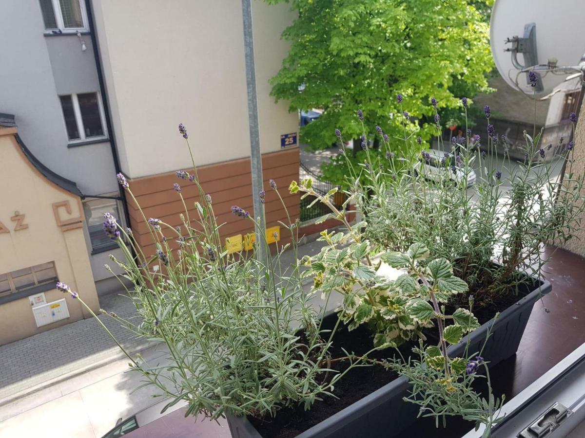Przytulna I Przestrzenna Garsoniera- Centrum ทาร์นูฟ ภายนอก รูปภาพ